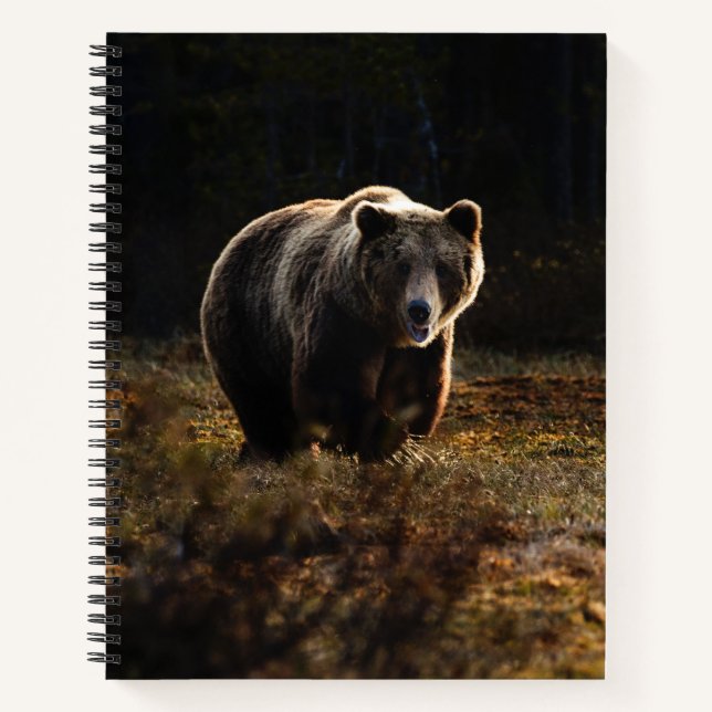 Bär Notizbuch (Vorderseite)
