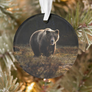 Bär Ornament