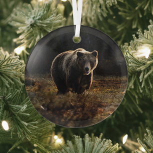 Bär Ornament Aus Glas
