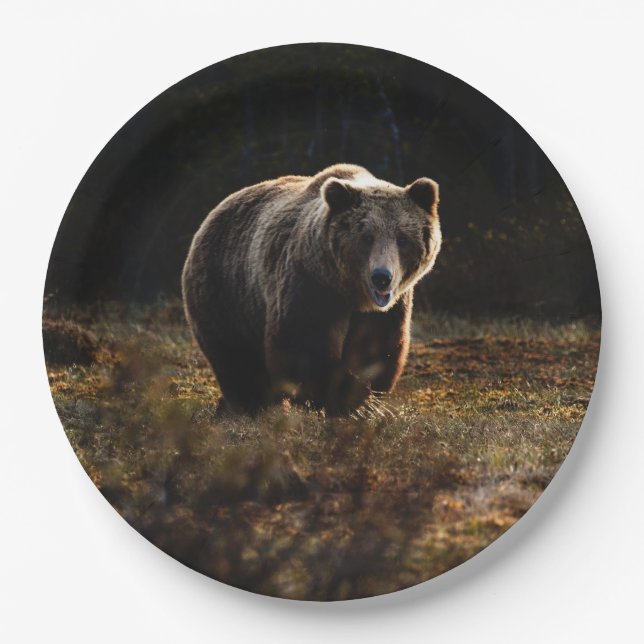 Bär Pappteller (Vorderseite)