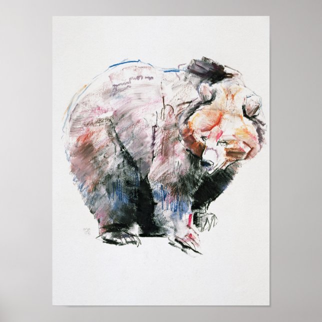 Bär Poster (Vorne)