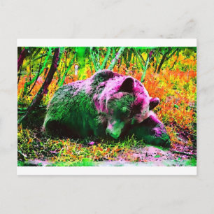 Bär Postkarte
