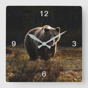 Bär Quadratische Wanduhr