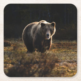 Bär Rechteckiger Pappuntersetzer