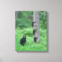 Bär & Three Cubs - Canvas Print - Kessea