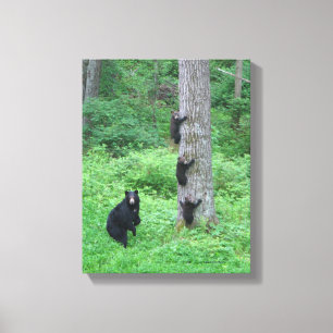 Bär & Three Cubs - Canvas Print - Kessea Leinwanddruck