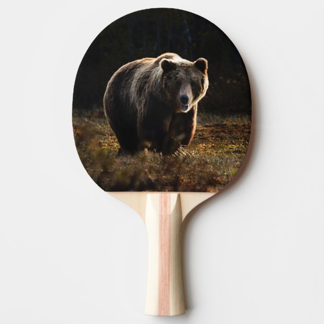 Bär Tischtennis Schläger (Vorderseite)