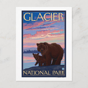 Bär und Cub - Glacier National Park, MT Postkarte
