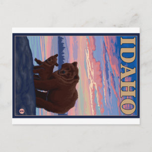 Bär und Cub - Idaho Postkarte