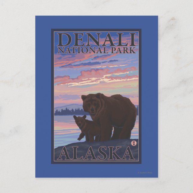 Bär und Cub - Nationalpark Denali, Alaska Postkarte (Vorderseite)