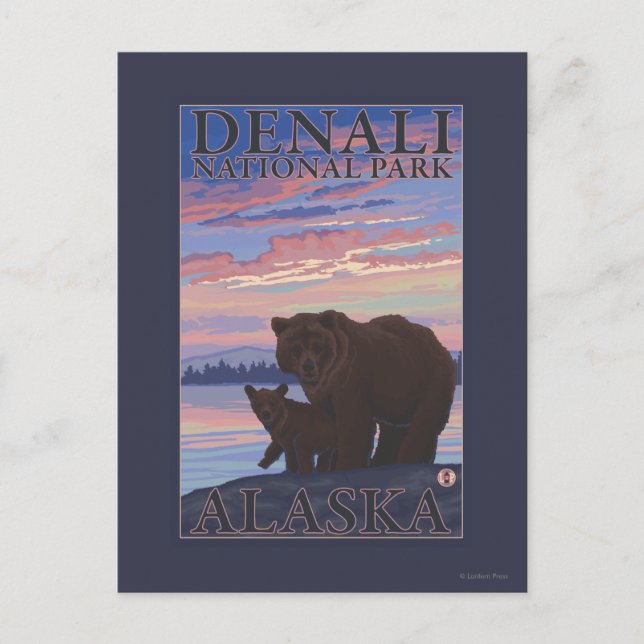 Bär und Cub - Nationalpark Denali, Alaska Postkarte (Vorderseite)