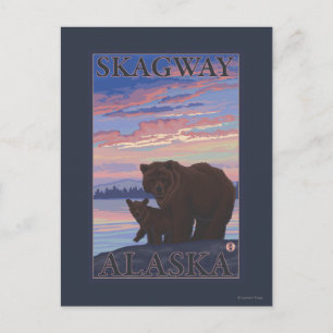 Bär und Cub - Skagway, Alaska Postkarte