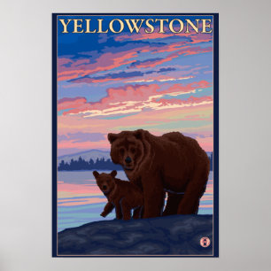 Bär und CUB - Yellowstone Nationalpark Poster