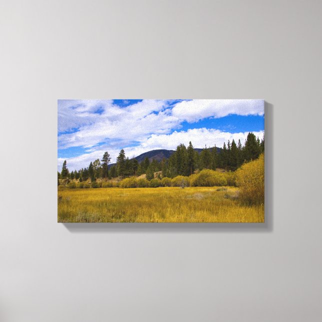 Bar wiese im Herbst 1 Leinwanddruck (Vorderseite)