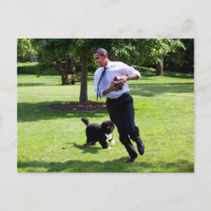 Barack & Bo Obama Postkarte