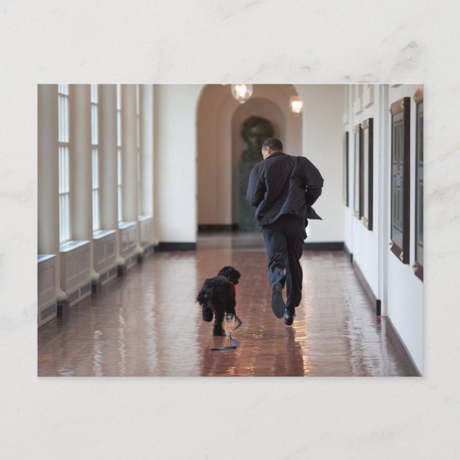 Barack & Bo Obama Postkarte (Vorderseite)