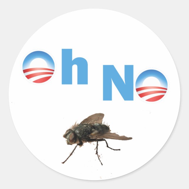 Barack Obama, der Fly Killer Runder Aufkleber (Vorderseite)