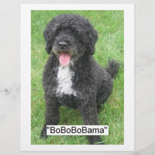 Barack Obama Portugiesischer Wasserhund Flyer