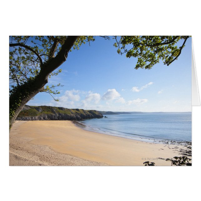 Barafundle Bay Pembroke Pembrokeshire Coast (Vorderseite (Horizontal))