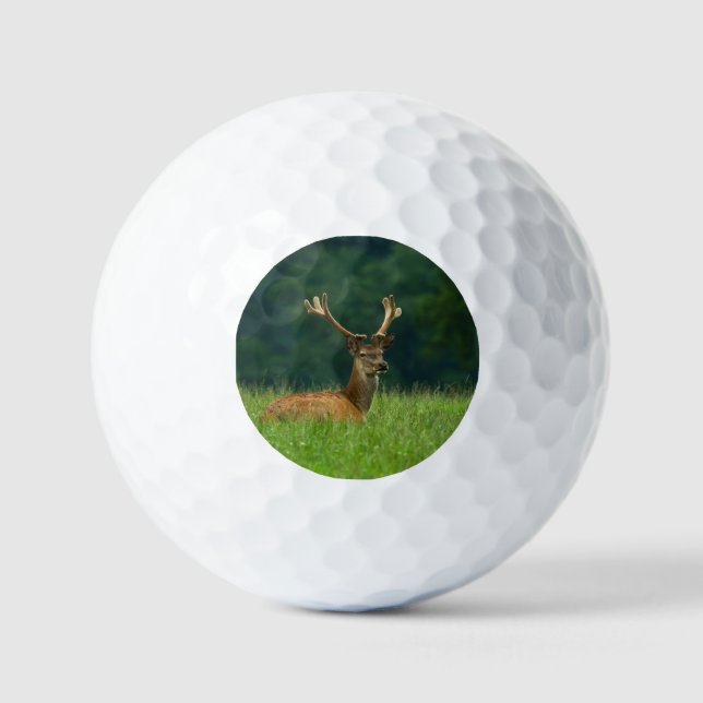 Barasingha Hirsche Golfball (Vorderseite)