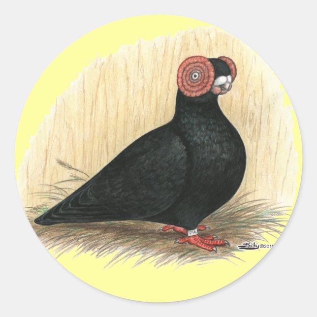 Barb Pigeon Standard Black Runder Aufkleber (Vorderseite)