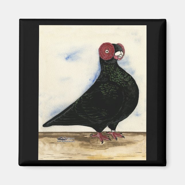 Barb Pigeon Watercolor Magnet (Vorne)