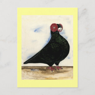 Barb Pigeon Watercolor Postkarte