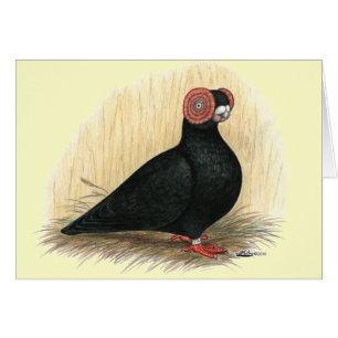 Barb: Standard Black