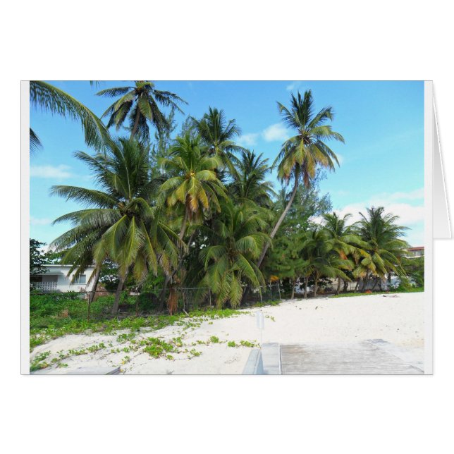 Barbados 2010 279 (Vorderseite (Horizontal))