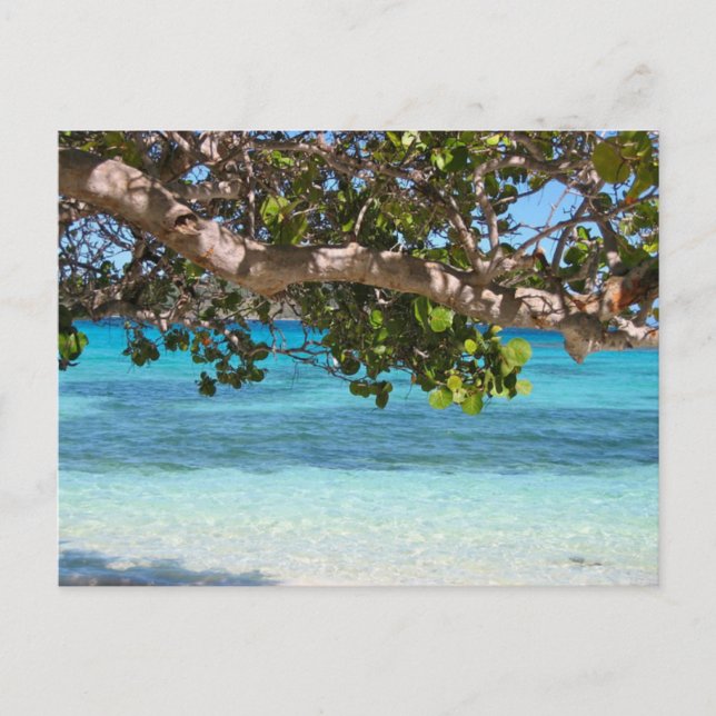 Barbados Beach Landschaft Postkarte (Vorderseite)
