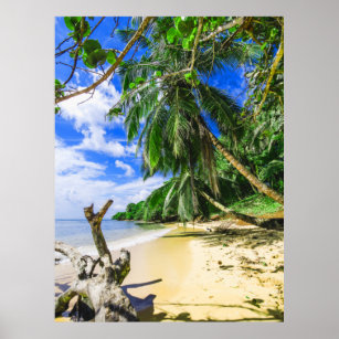 Barbados Caribbean Island Beach Palm Tree Retreat Poster