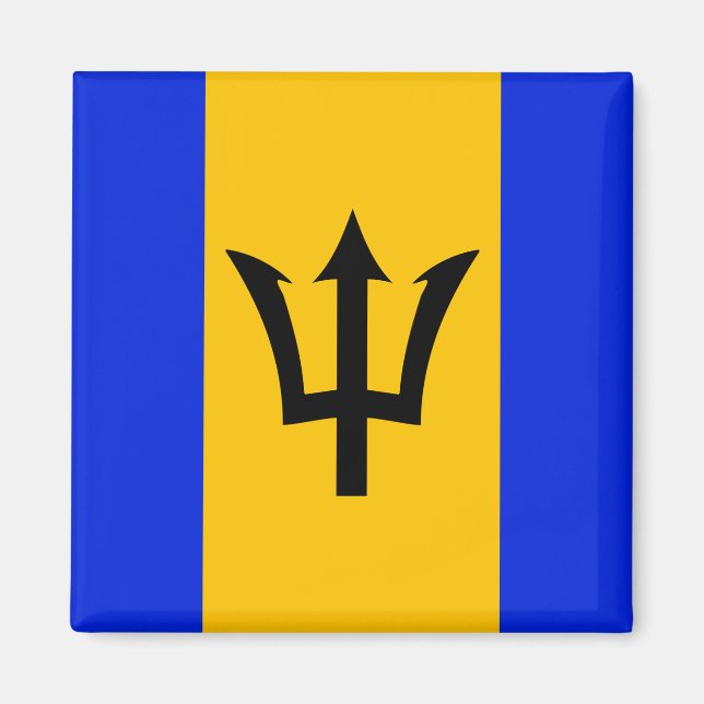 Barbados Flag Magnet (Vorne)
