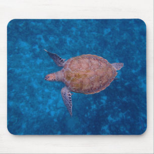 Barbados-Meeresschildkröte Mousepad