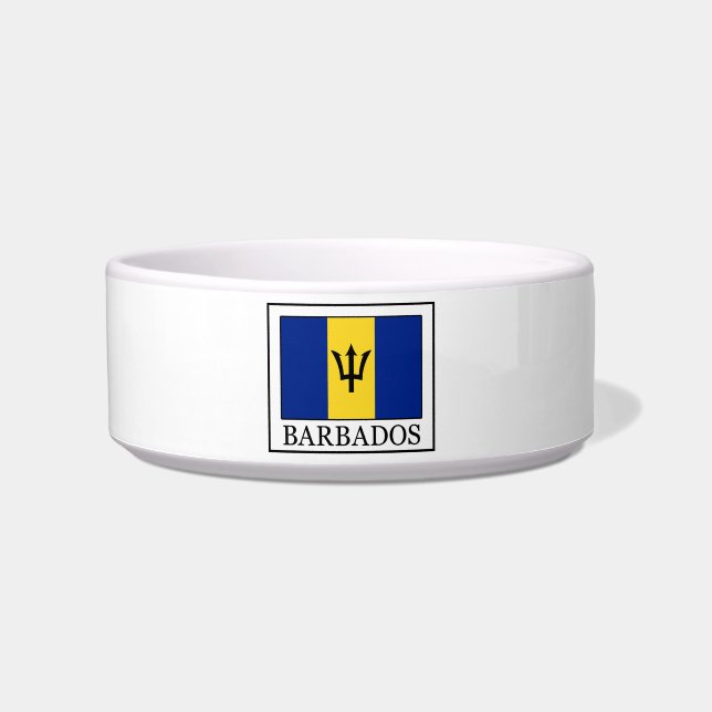 Barbados Napf (Vorderseite)