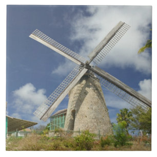 BARBADOS, Nordostküste, Morgan Lewis: Morgan Fliese