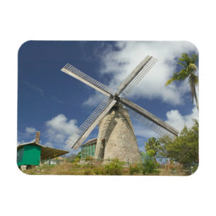 BARBADOS, Nordostküste, Morgan Lewis: Morgan Magnet
