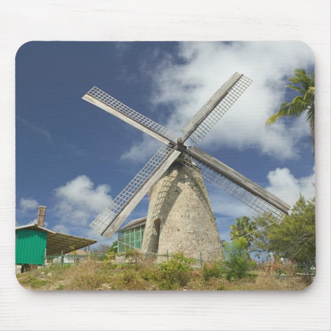 BARBADOS, Nordostküste, Morgan Lewis: Morgan Mousepad (Vorne)