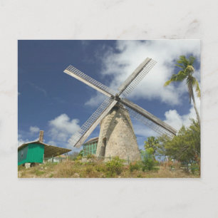 BARBADOS, Nordostküste, Morgan Lewis: Morgan Postkarte