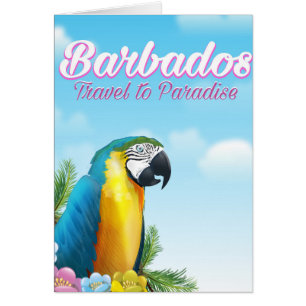 Barbados Papagei Reiseplakat