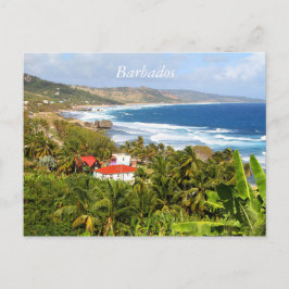 Barbados Postcard, Ozean, tropische Bäume Postkarte