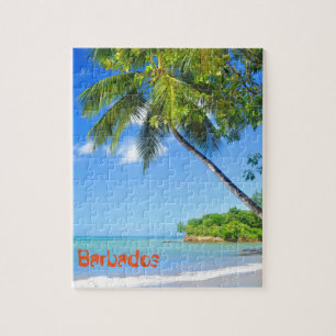 Barbados Puzzle