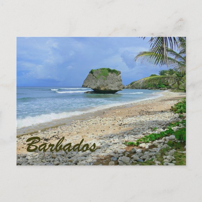 BARBADOS (STRAND/GROSSER ROCK) POSTCARD POSTKARTE (Vorderseite)