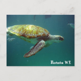 Barbados W.I. Postkarte
