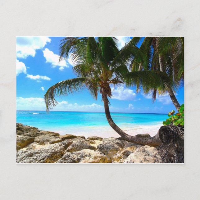 Barbados - Weißer Sandstrand Postkarte (Vorderseite)