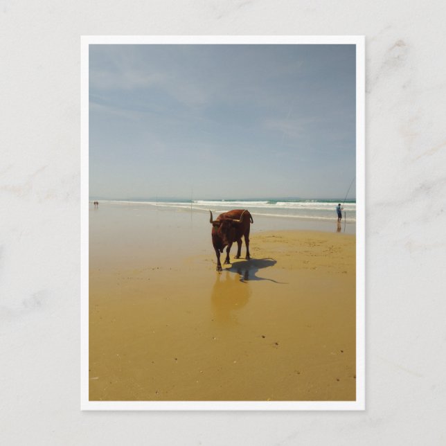 Barbate, Andalusien (Spanien) Postkarte (Vorderseite)