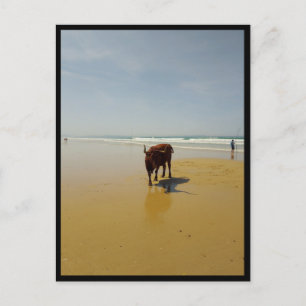 Barbate, Andalusien (Spanien) Postkarte