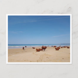 Barbate, Andalusien (Spanien) Postkarte