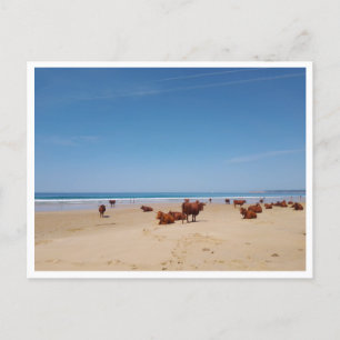 Barbate, Andalusien (Spanien) Postkarte