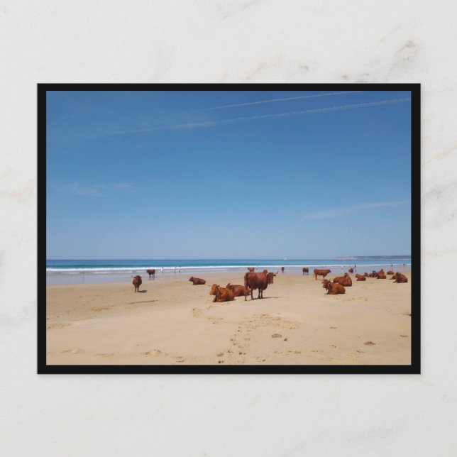 Barbate, Andalusien (Spanien) Postkarte (Vorderseite)