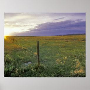 Barbed Wire Fenceline im Nordosten Montanas Poster